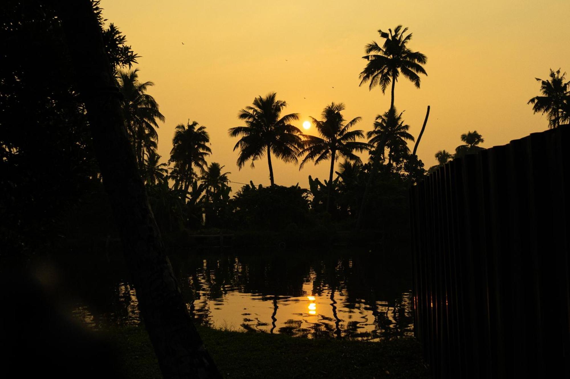 Palmgrove Lake Resort Alappuzha Eksteriør billede